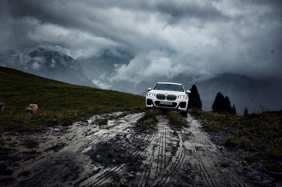  BMW X3 xDrive30e M Sport (G01) 2019 года  (WW) (фото 8 из 19)